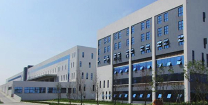 山東地區(qū)油料作物需求以及榨油機(jī)行情分析